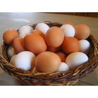Fresh Table Eggs and Derivates